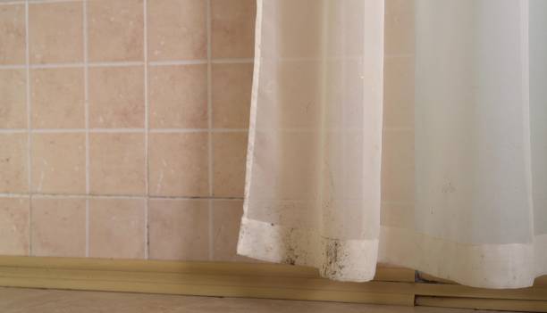 Best Indoor Air Quality Assessment  in Morehead City, NC