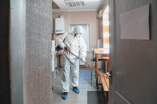 Best Post-Remediation Verification Testing  in Morehead City, NC