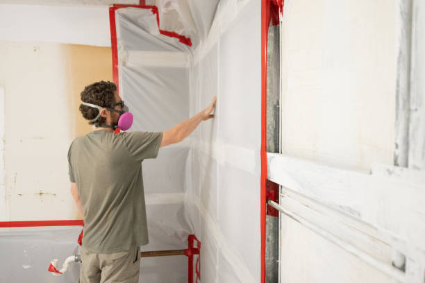Best Mold Remediation for Healthcare Facilities  in Morehead City, NC
