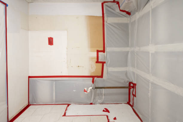 Best Commercial Mold Inspection  in Morehead City, NC